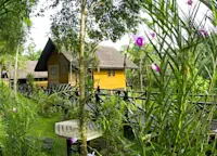 Slideshow Thumbnail 4 of 9