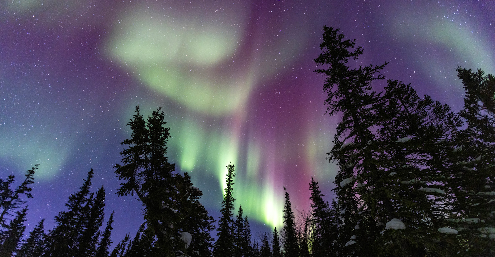 Northern Lights, Churchill