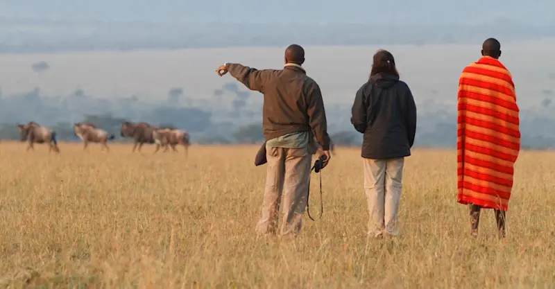 Nat Hab guests, Maasai and wildebeest, Private Mara Conservancy, Kenya.