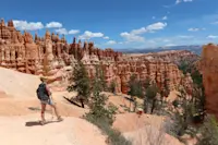 The warm colors of Bryce Canyon National Park were too good not to share, Utah.