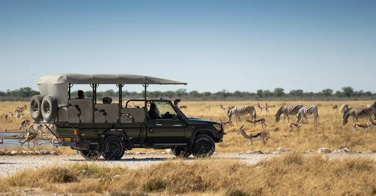 Safari drive in Etosha Heights, Namibia.
