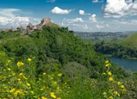 Slideshow Thumbnail 4 of 13