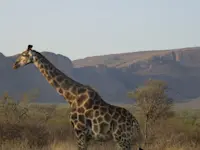 The soft light brought out the landscape’s beautiful colors in South Africa.