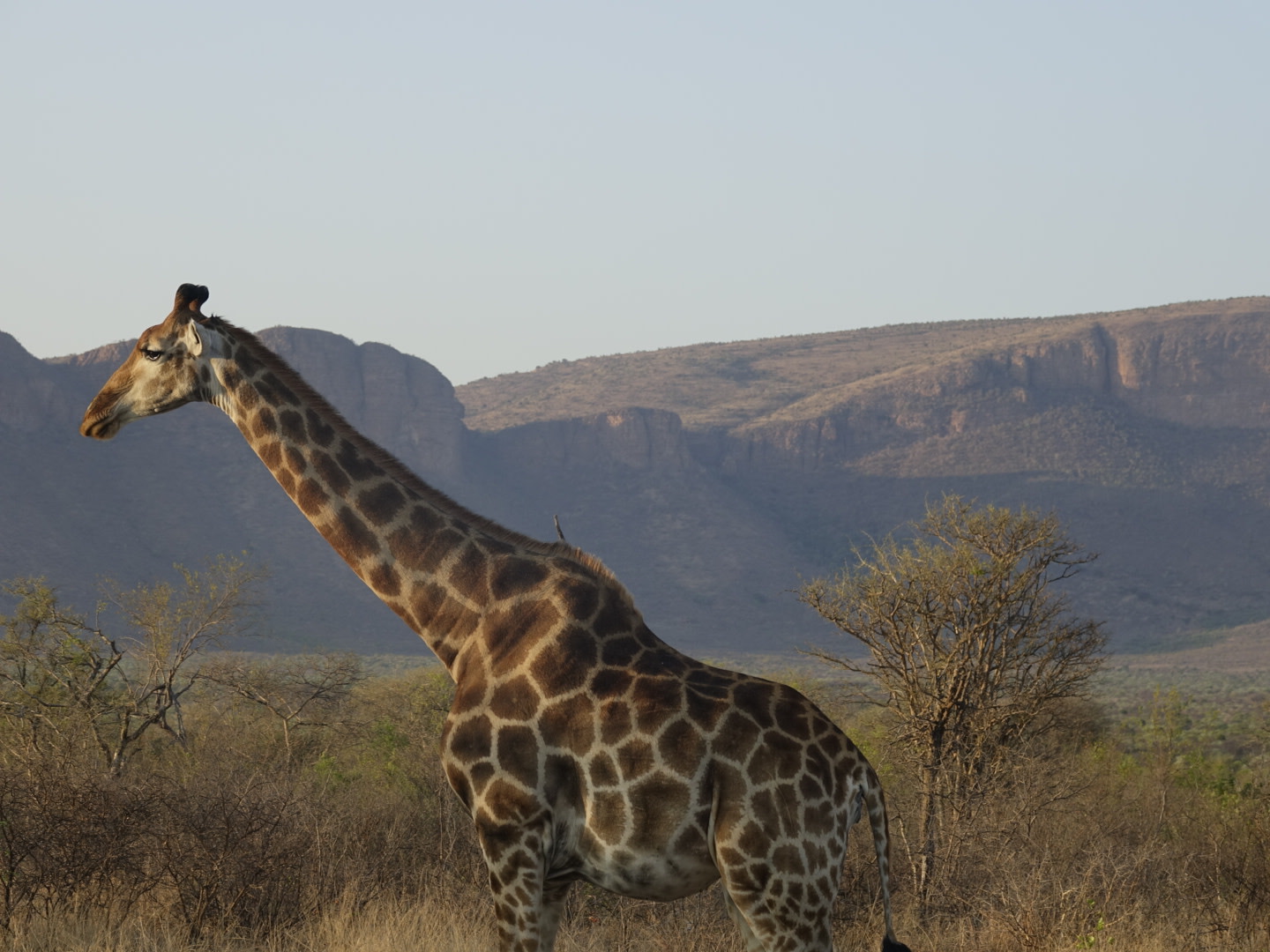 The soft light brought out the landscape’s beautiful colors in South Africa.