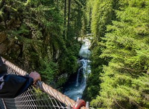 Looking into forested Lynn Canyon from the suspension bridge in Vancouver, British Columbia.