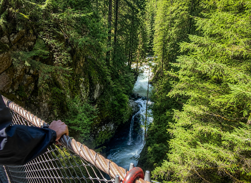 Looking into forested Lynn Canyon from the suspension bridge in Vancouver, British Columbia.
