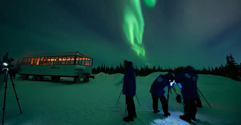 Travelers taking photos of northern lights outside of Nat Hab's Aurora Pod®