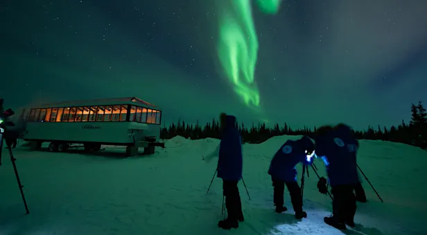 Travelers taking photos of northern lights outside of Nat Hab's Aurora Pod®