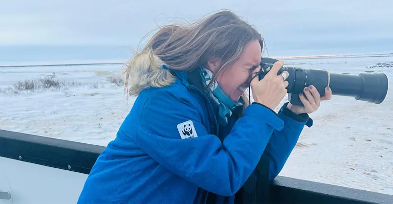 Photographing polar bears in Churchill.