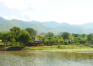 Slideshow Image