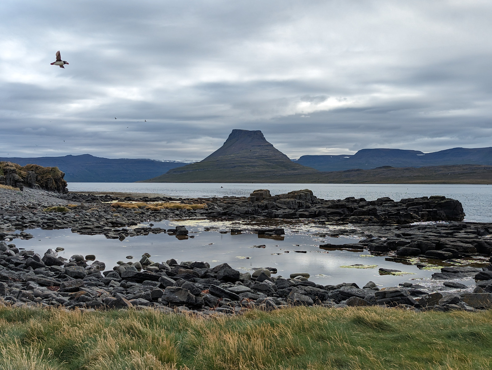 Taking a stroll around Vigur Island in Iceland.