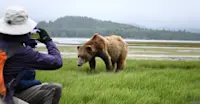 Nat Hab guest and brown bear, Katmai National Park & Preserve, Alaska.