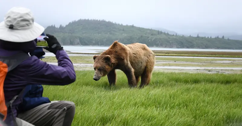 Nat Hab guest and brown bear, Katmai National Park & Preserve, Alaska.