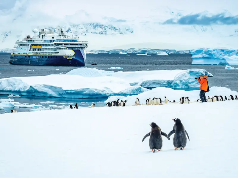 National Geographic Resolution, Cuverville Island, Antarctica.