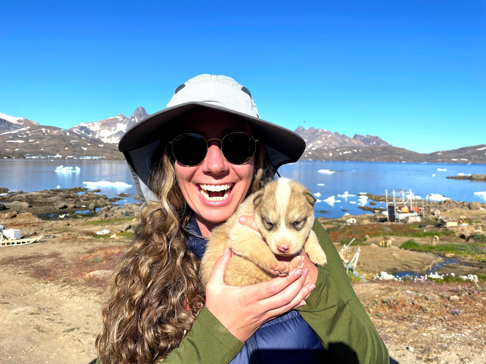 Sled dogs are my absolute favorite, especially the puppies!