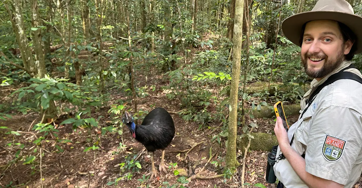 Southern cassowary and Nat Hab Expedition Leader, Daintree National Park, Australia.