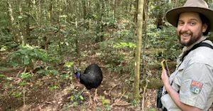Southern cassowary and Nat Hab Expedition Leader, Daintree National Park, Australia.