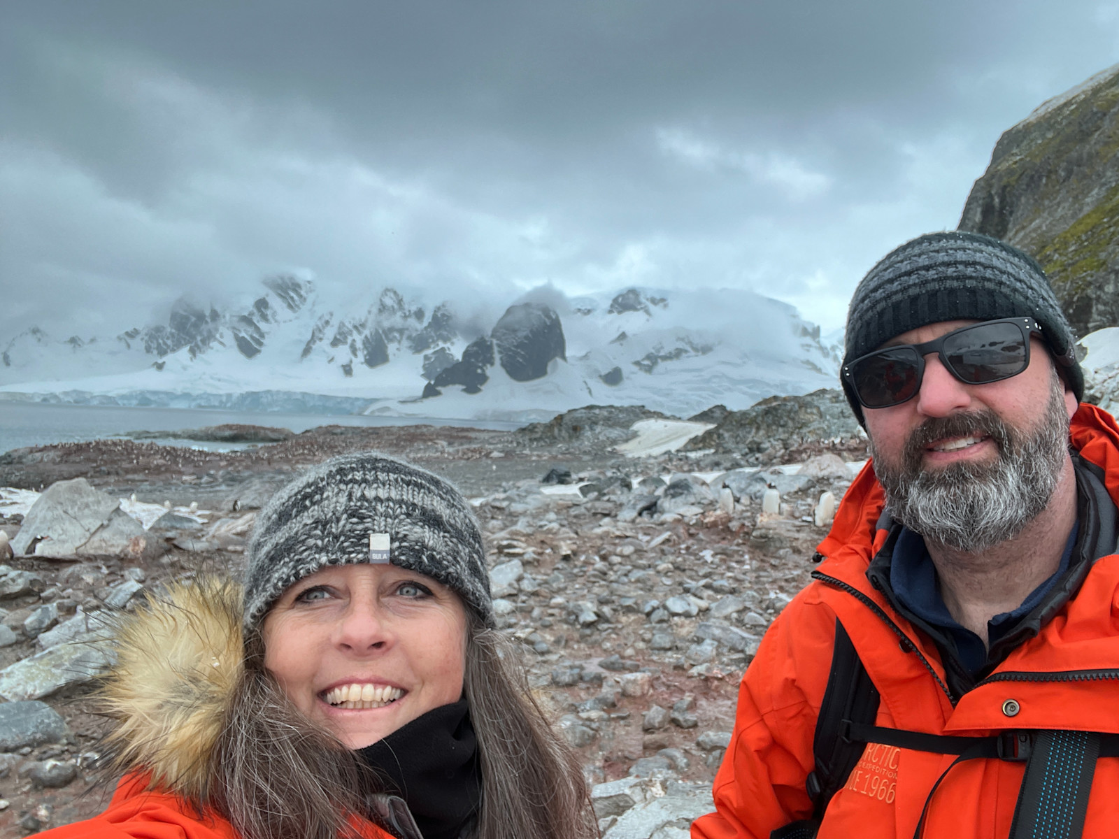 Roaming through the beautiful Curevill island in Antactica.