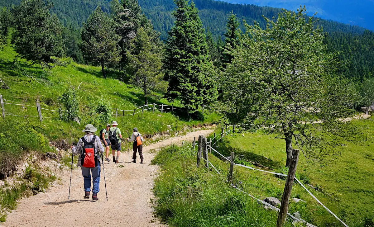 Nat Hab guests hiking, Slovenia. 