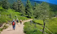 Nat Hab guests hiking, Slovenia. 