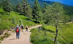 Nat Hab guests hiking, Slovenia. 