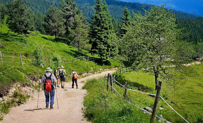 Nat Hab guests hiking, Slovenia. 