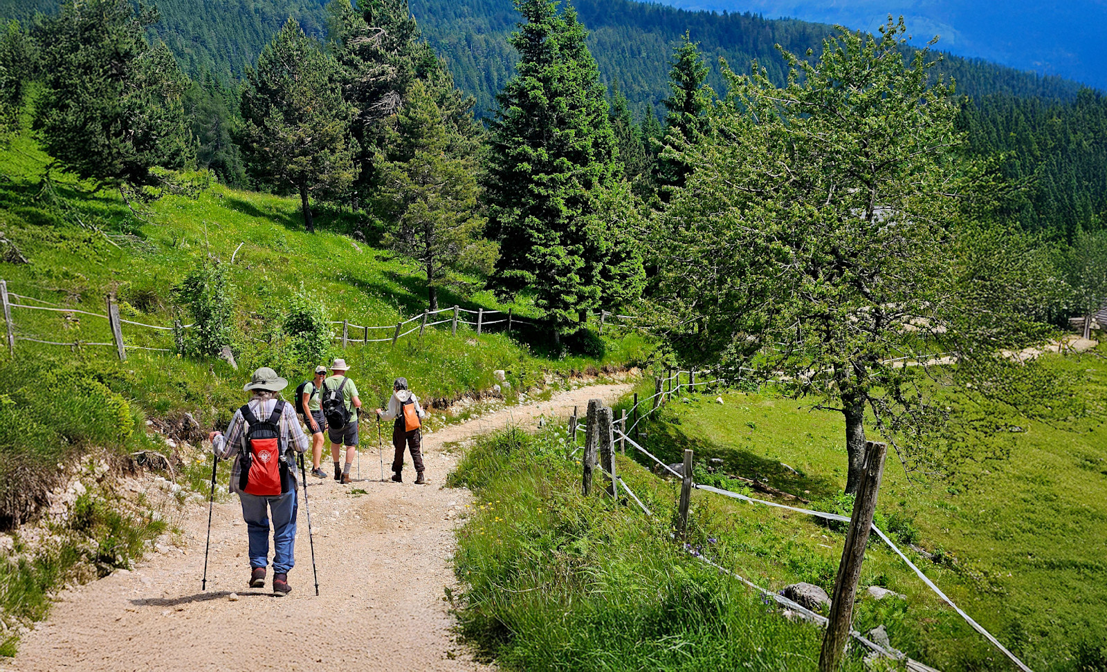 Nat Hab guests hiking, Slovenia. 