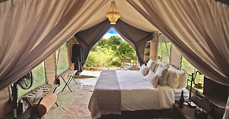 Guest tent at Nat Hab's Rhino Camp—Ol Pejeta Conservancy