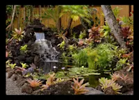 Slideshow Thumbnail 8 of 9