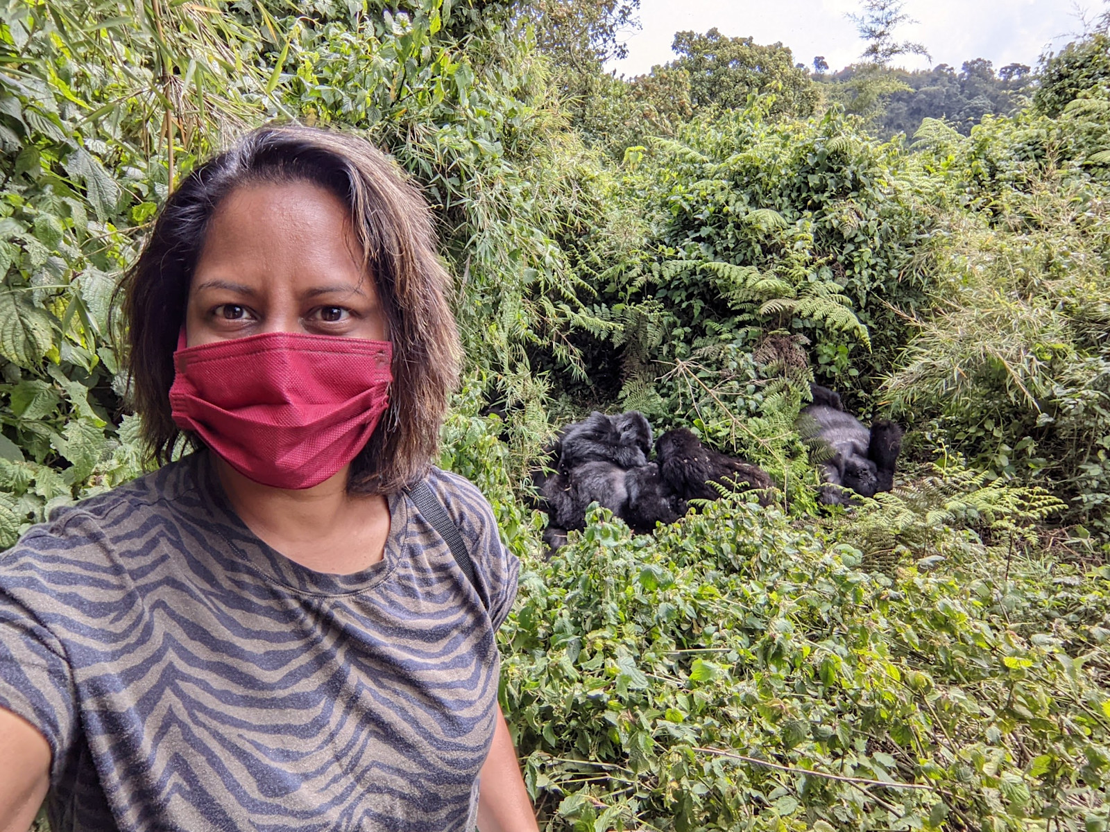 Coming face-to-face with gorillas in Volcanoes National Park, Rwanda, 2022.
