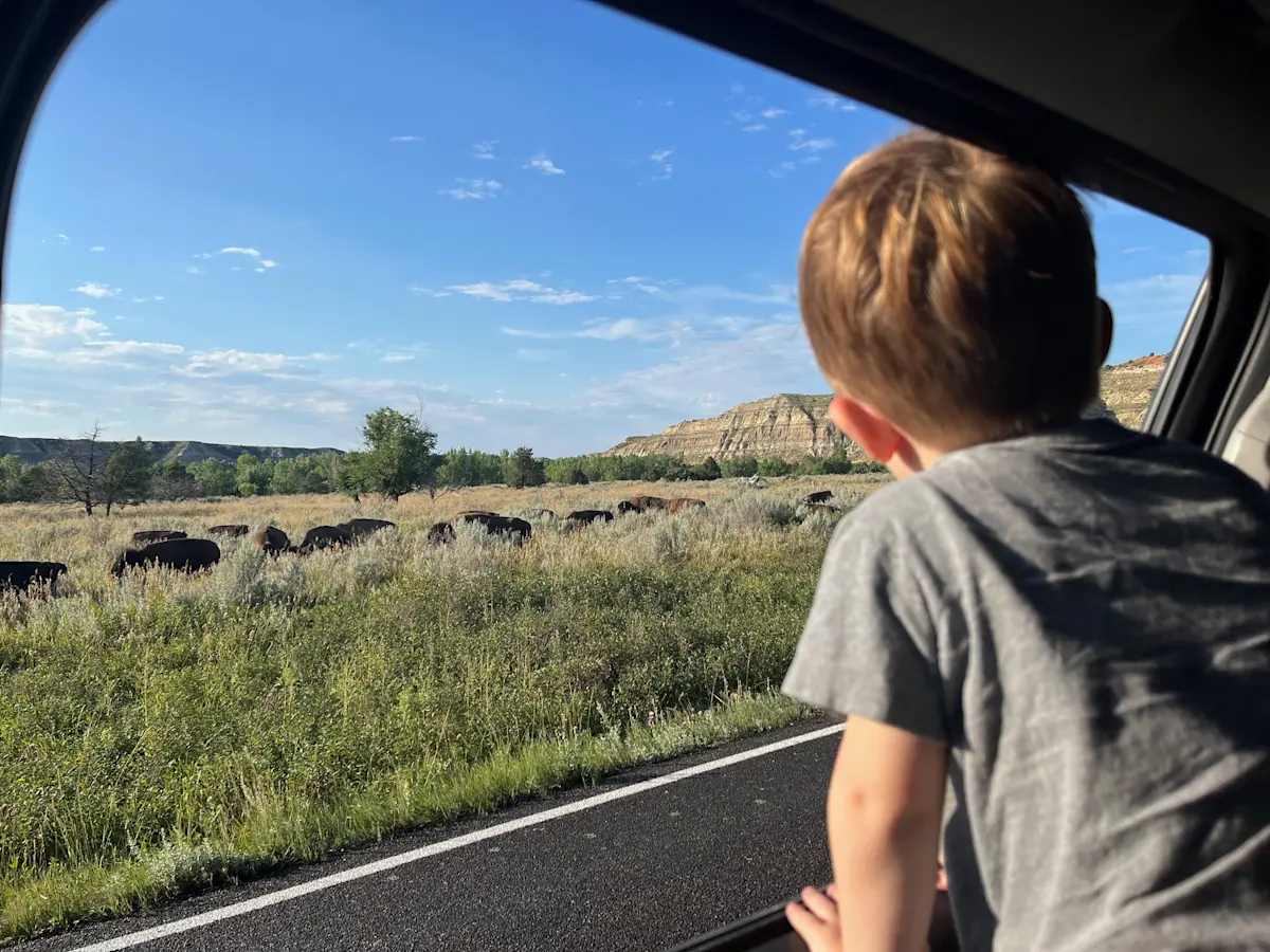 Bison in Theodore Roosevelt National Park with my son in North Dakota. 