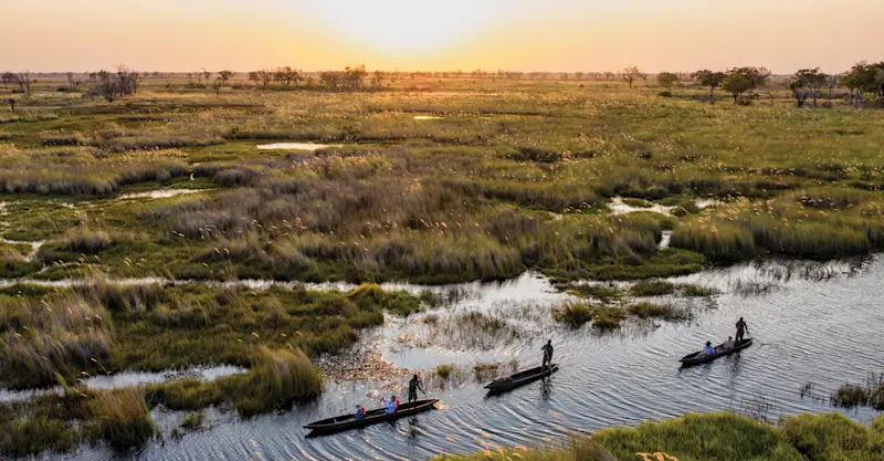Mokoro safari, Okavango Delta, Botswana.