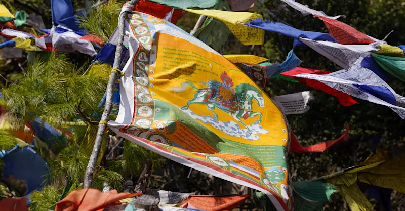 Tibetan prayer flags, Punakha, Bhutan.
