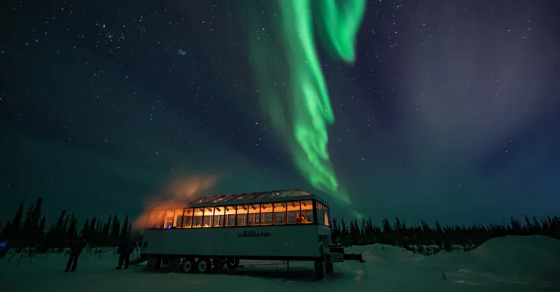 Nat Hab's Aurora Pod® underneath northern lights