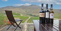 Wine bottles, Portugal.