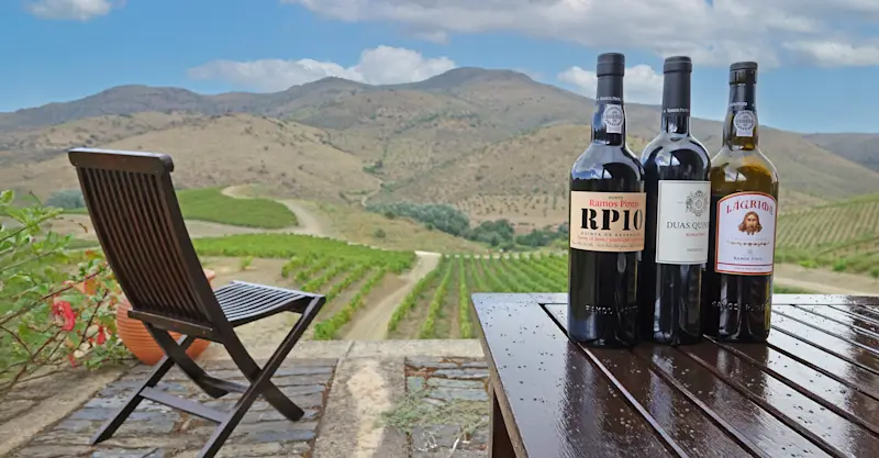 Wine bottles, Portugal.