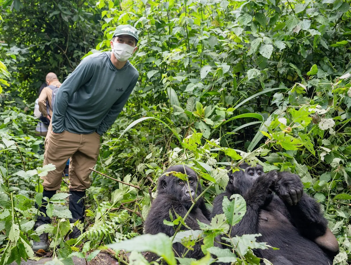 Trekking with mountain gorillas in Bwindi Impenetrable National Park, Uganda.