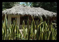 Slideshow Thumbnail 3 of 4
