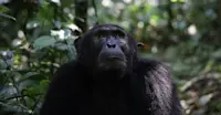 Slideshow Thumbnail 5 of 8