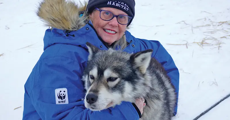 Nat Hab guest with sled dog, Churchill, Manitoba.