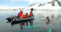 Guests in Zodiac photograph humpback whale, Yalour Islands, Antarctica.