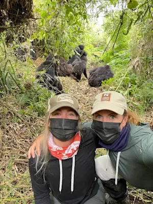 Gorillas galore in Volcanoes National Park, Rwanda.