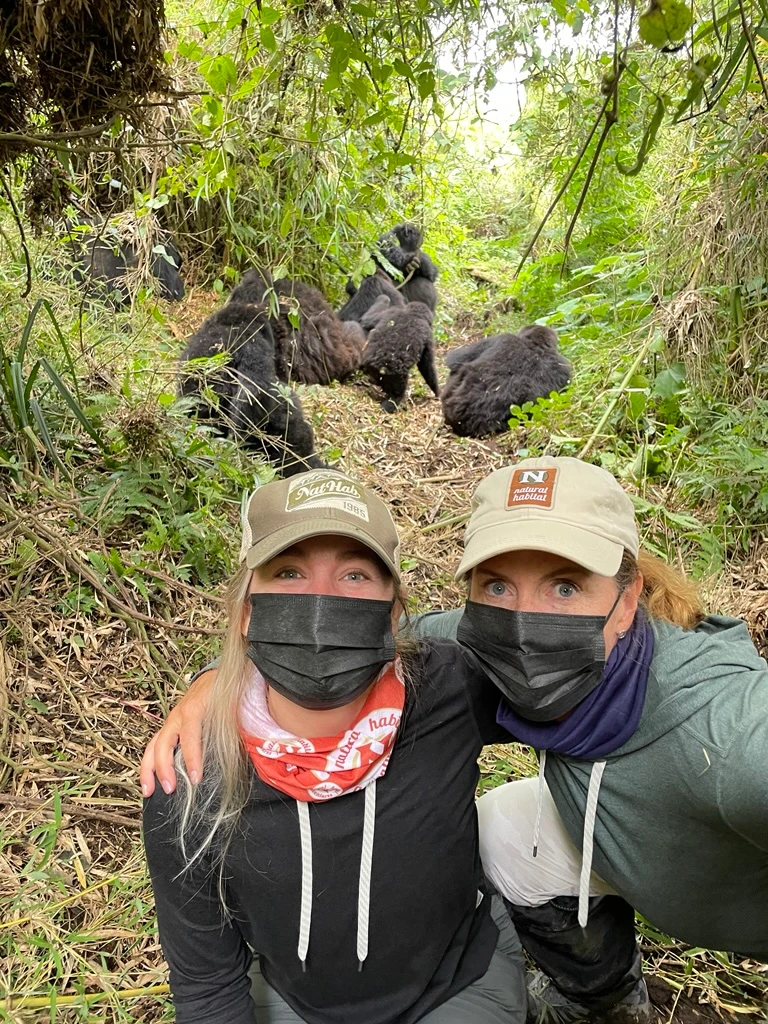 Gorillas galore in Volcanoes National Park, Rwanda.