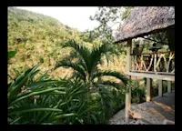 Slideshow Thumbnail 2 of 12