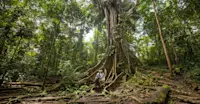 Nat Hab guests, Amazon Rainforest, Peru.