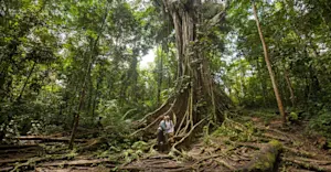 Nat Hab guests, Amazon Rainforest, Peru.