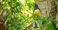 Slideshow Thumbnail 7 of 7