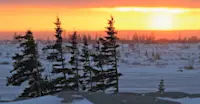 Tundra sunset, Churchill, Manitoba.