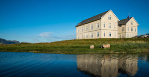 Welcome to Hotel Budir!