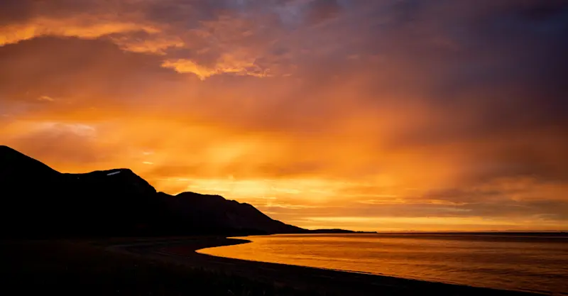 Bear coast, Katmai National Park, Alaska.